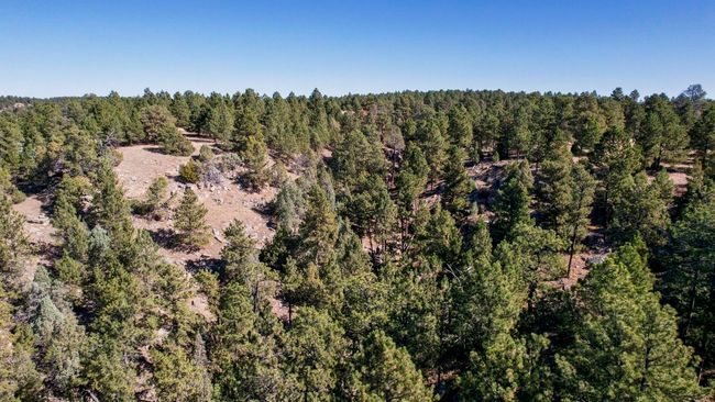 Lot 4 Sunset Ridge Road, Home with 0 bedrooms, 0 bathrooms and null parking in Newcastle WY | Image 16