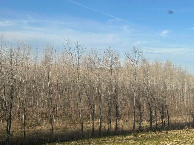 00 Ridgeview Rd, Home with 0 bedrooms, 0 bathrooms and null parking in Bradford AR | Image 4
