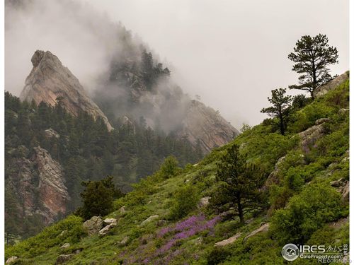 177 Artesian Dr, Eldorado Springs, CO, 80025-5002 | Card Image