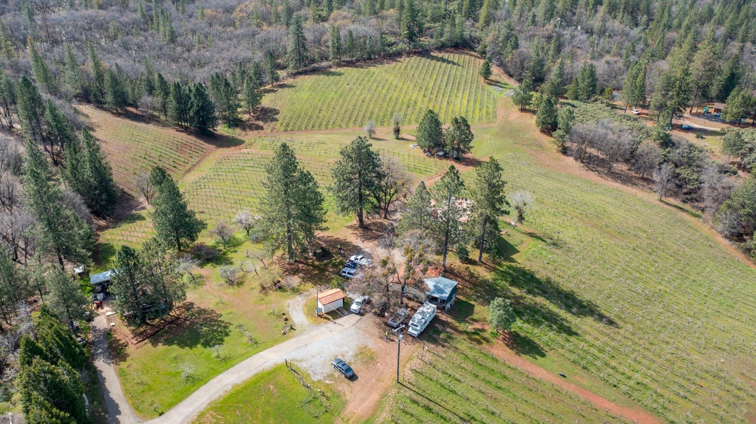Residential Income in Placerville 3