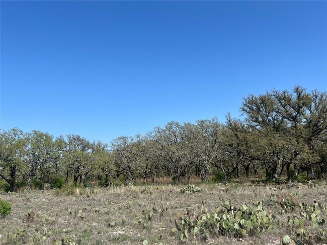 42 N Waterbuck Way, Home with 0 bedrooms, 0 bathrooms and null parking in Lampasas TX | Image 10
