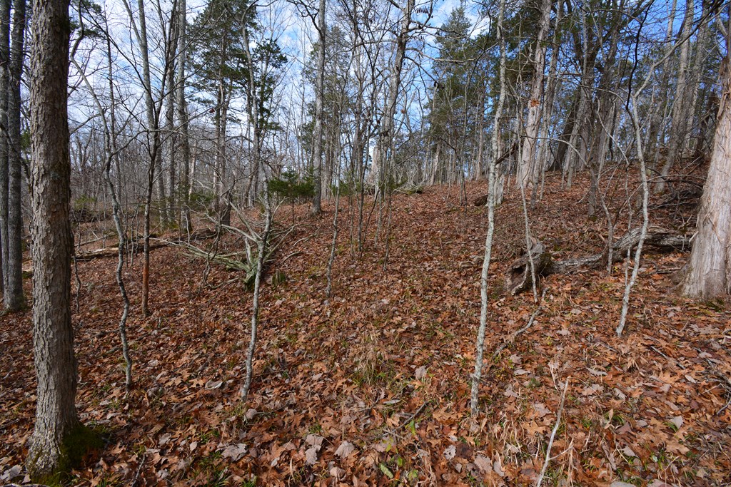 Land in Pounding Mill 5