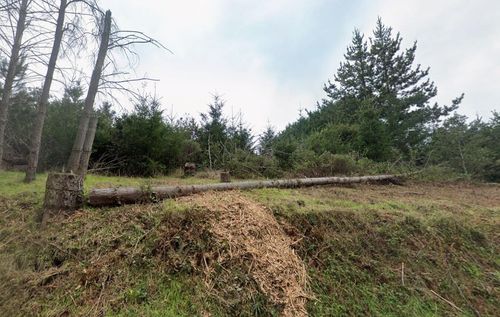 184 Ridge Rd, Whitethorn, CA, 95589 | Card Image