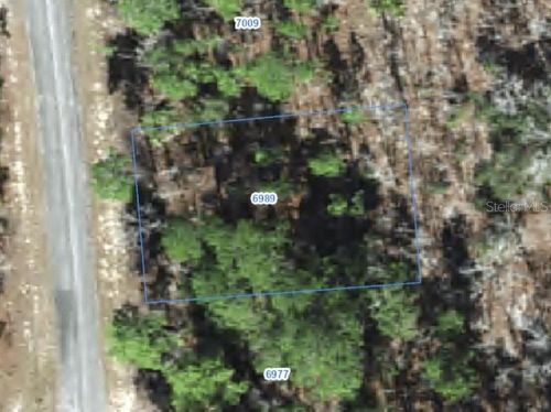 6989 N Foxdale Dr, CITRUS SPRINGS, FL, 34434-7405 | Card Image