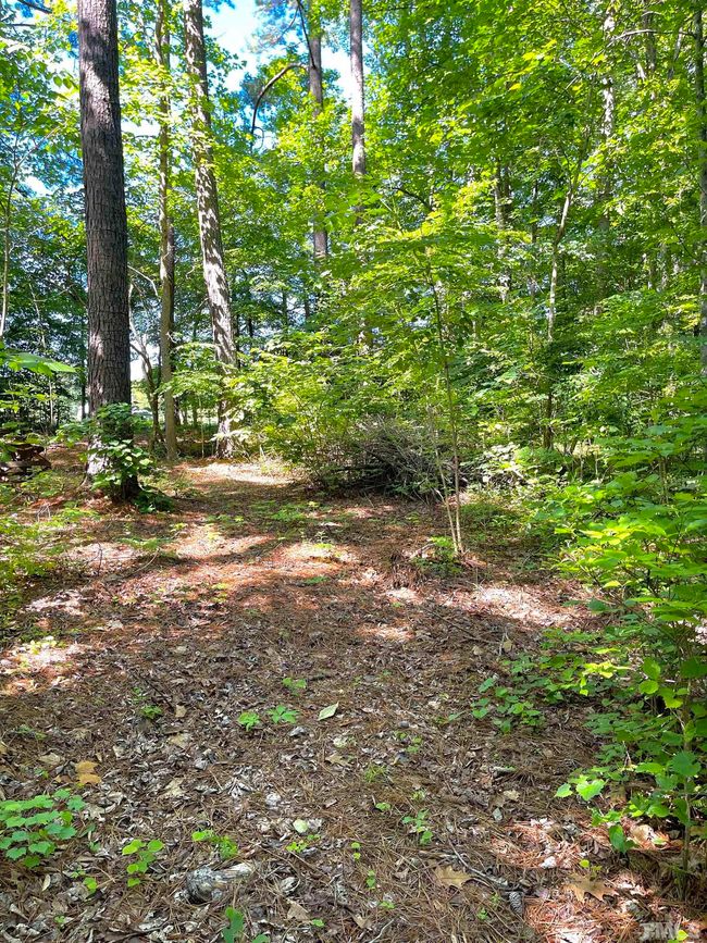 12 Hawkins Loop, Home with 0 bedrooms, 0 bathrooms and null parking in Hurdle Mills NC | Image 7