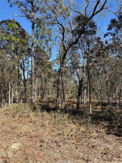 TBA Se 135th Ct, Dunnellon, FL, 34431 | Card Image