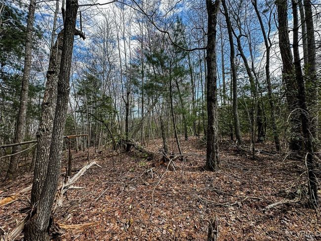 41.18 Acres (Off Of) Pole Bridge Rd, Home with 0 bedrooms, 0 bathrooms and null parking in Stuart VA | Image 29