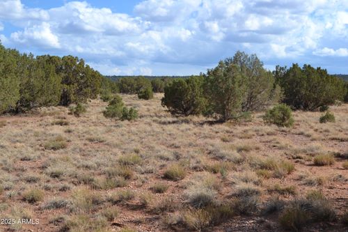 273-4161 Colt Rd, Snowflake, AZ, 85937-5371 | Card Image