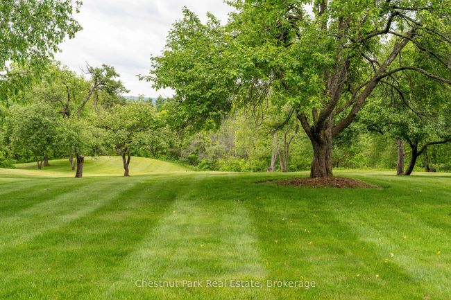 798251 3 Rd Line, House other with 6 bedrooms, 7 bathrooms and 8 parking in Mulmur ON | Image 9