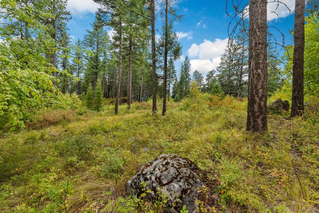 157 Pinto Trl, Home with 0 bedrooms, 0 bathrooms and null parking in Bigfork MT | Image 50