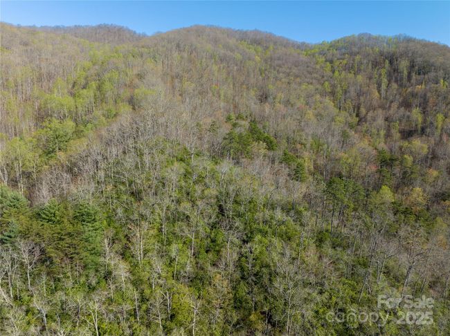 9999 Wayehutta Rd, Home with 0 bedrooms, 0 bathrooms and null parking in Cullowhee NC | Image 11