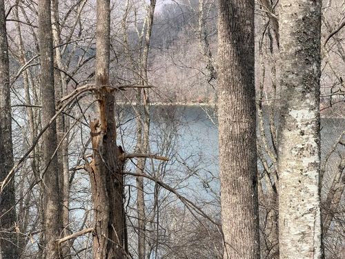 Lot 12 Lake Vista Circle, Nantahala, NC, 28781 | Card Image