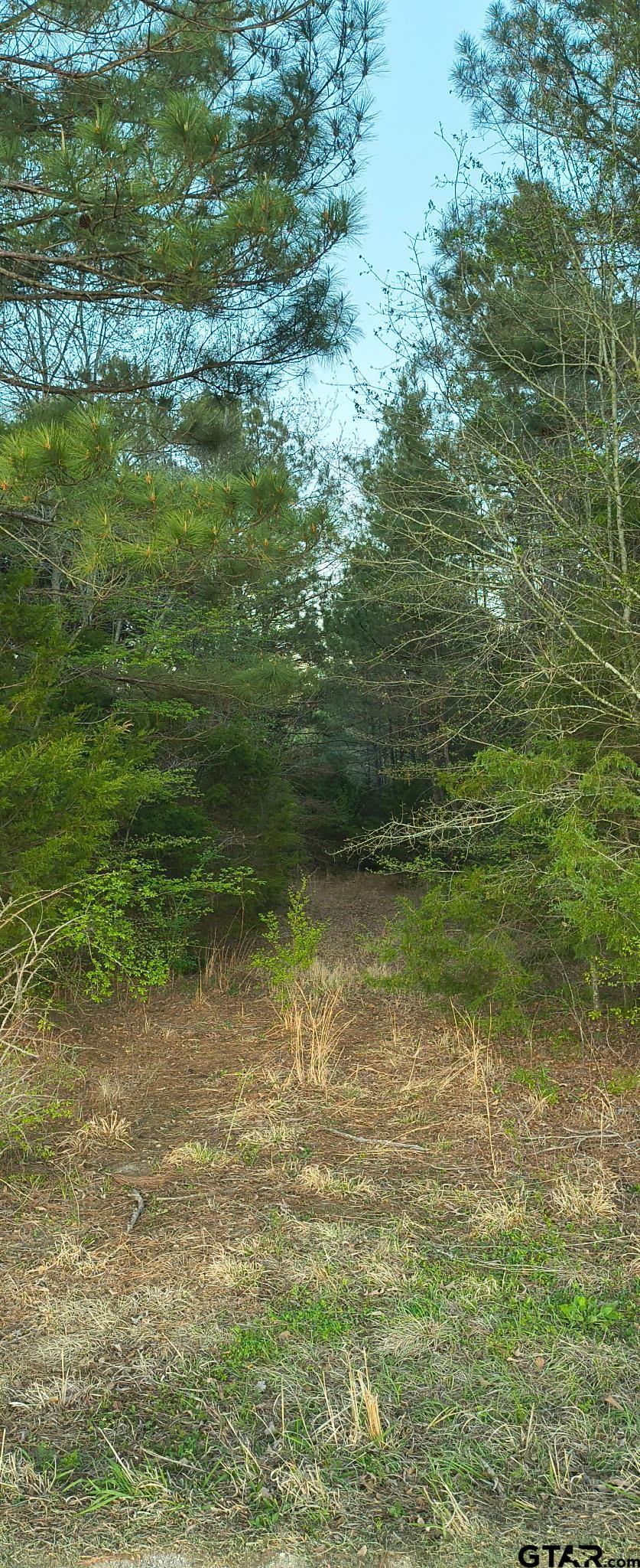 Land in Tyler