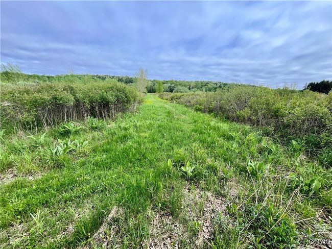 37224 County Route 4, Home with 0 bedrooms, 0 bathrooms and null parking in Clayton NY | Image 11