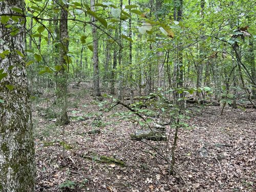 0 Sewanee Summit Rd, Decherd, TN, 37324 | Card Image