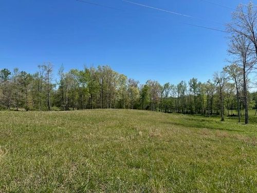 00 Pear Blossom Ln, Adamsville, TN, 38310 | Card Image