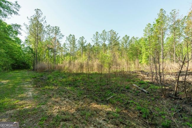 6053 Sun Hill Grange Rd, Home with 0 bedrooms, 0 bathrooms and null parking in Davisboro GA | Image 17