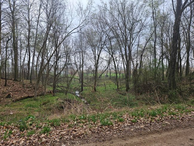 8970 Wigent Rd, House other with 1 bedrooms, 1 bathrooms and null parking in Reading MI | Image 14
