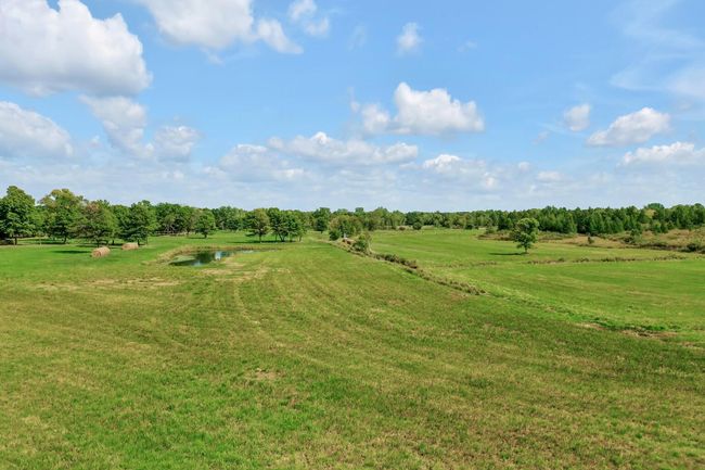 Prairie and hay fields through out the property in among the sections of trees. | Image 9