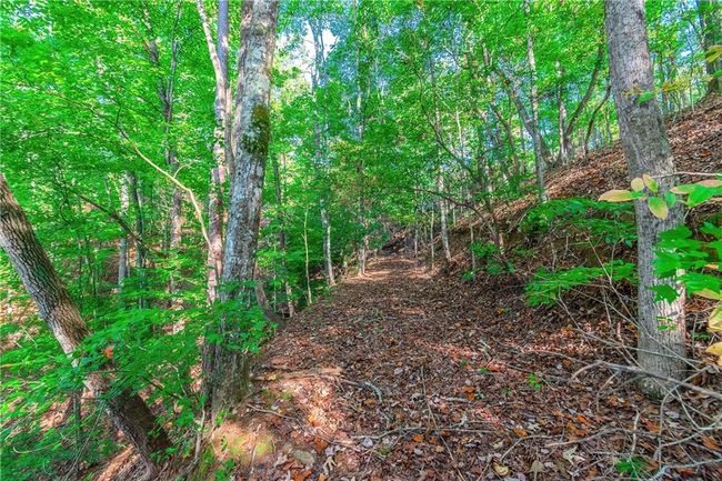 50 Jakes Landing Way S, Home with 0 bedrooms, 0 bathrooms and null parking in Ellijay GA | Image 30