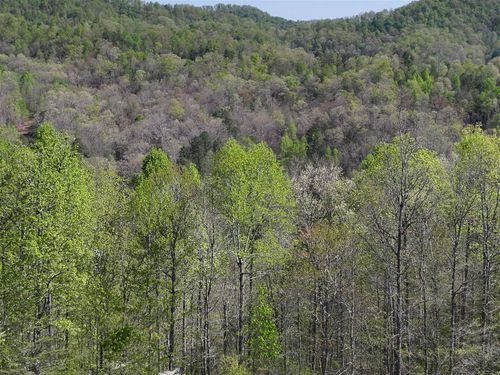 0 Holly Fork Rd, Sextons Creek, KY, 40983 | Card Image