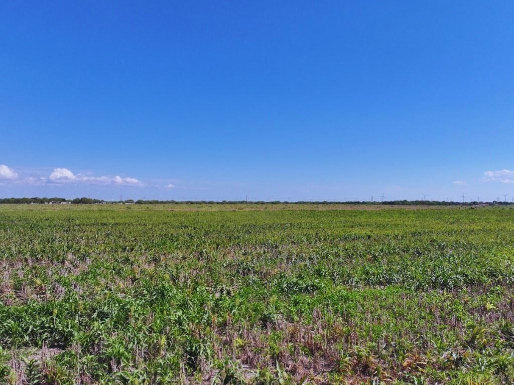 Land in Odem 3