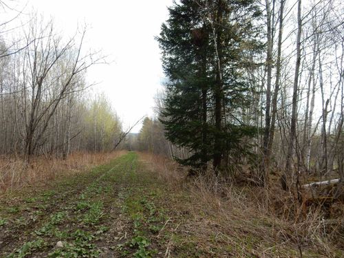 00 Burton Hill Rd, Barton, VT, 05822 | Card Image