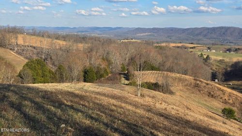 1874 Blue Hollow Rd, Rose Hill, VA, 24281-8354 | Card Image