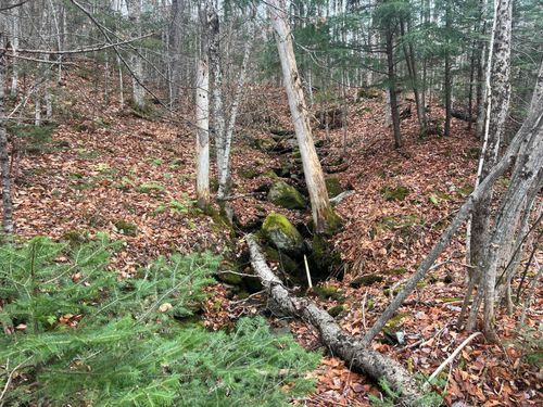 12 Thistle Street, Upton, ME, 04261 | Card Image