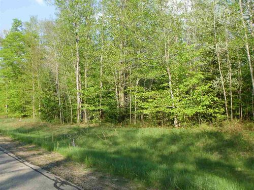 Lot 11 Spring Valley Drive, Selma Township, MI, 49601 | Card Image