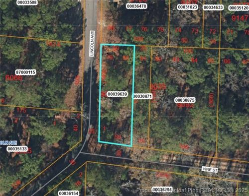 Tbd Lincoln Avenue, Vass, NC, 28394 | Card Image