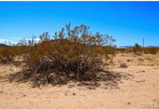0 Learco Way, Home with 0 bedrooms, 0 bathrooms and null parking in Joshua Tree CA | Image 15