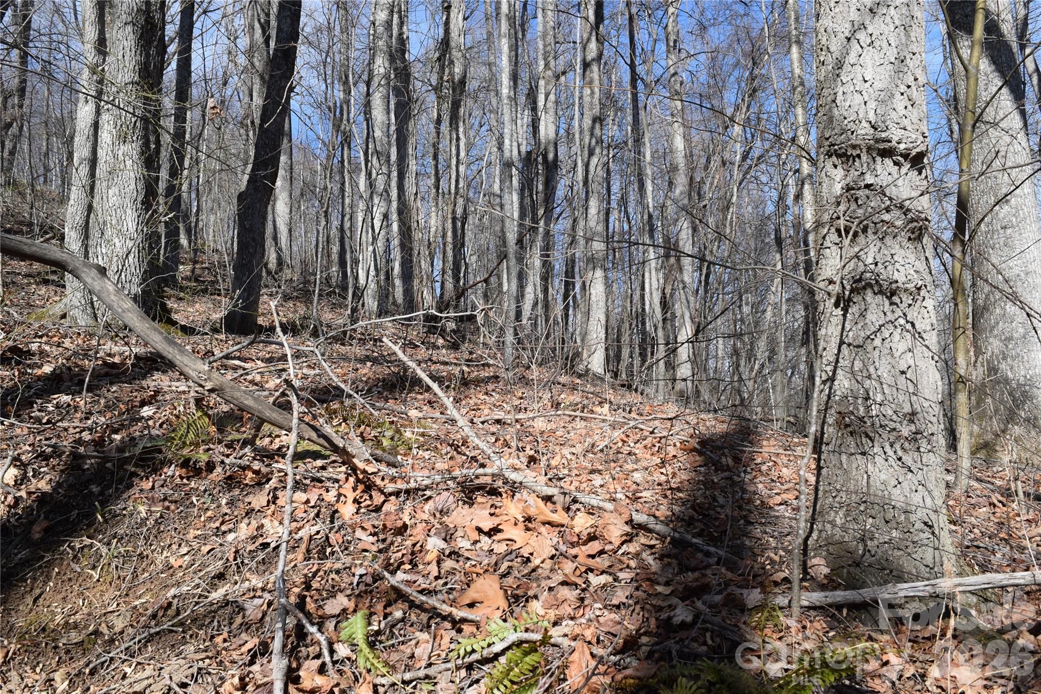 Land in Waynesville 4