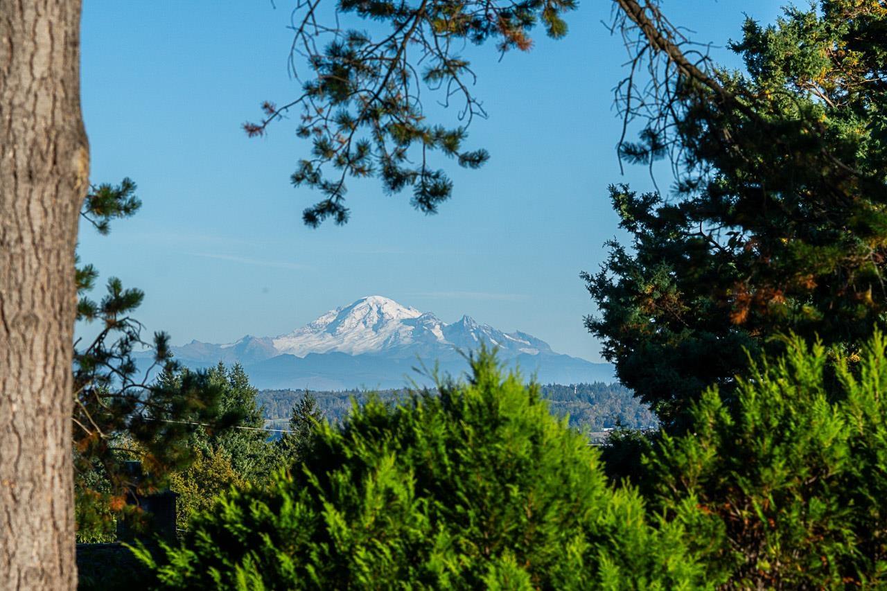 Residential in White Rock 5