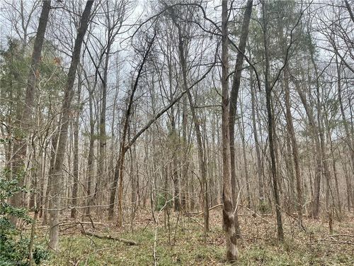 0 Pineview, Goldston, NC, 27252 | Card Image