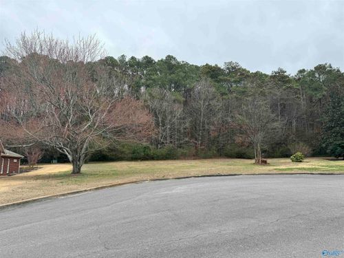 Lot 8A Brownwood Lane, Guntersville, AL, 35976 | Card Image