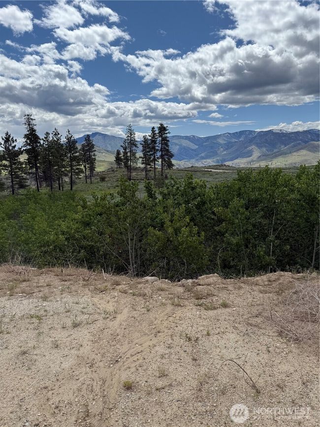 SE view | Image 9
