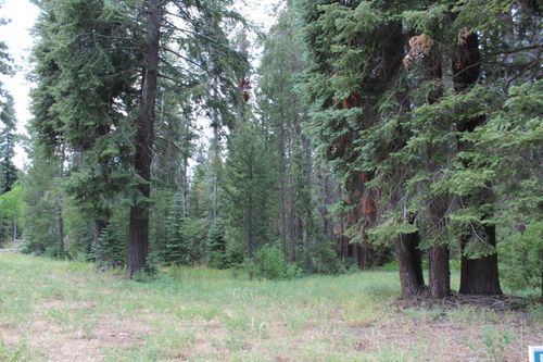 0 Aspen Dr, Springville, CA, 93265 | Card Image
