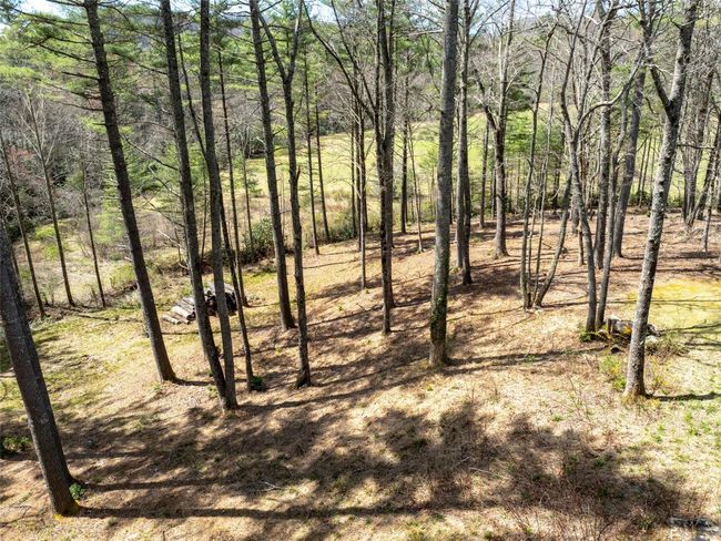 140 Hanging Dog Ln, House other with 5 bedrooms, 5 bathrooms and null parking in Lake Toxaway NC | Image 42