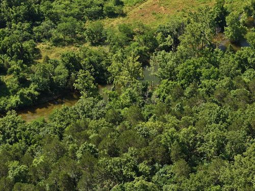 section-c-000 County Road 630, Gainesville, MO, 65655 | Card Image