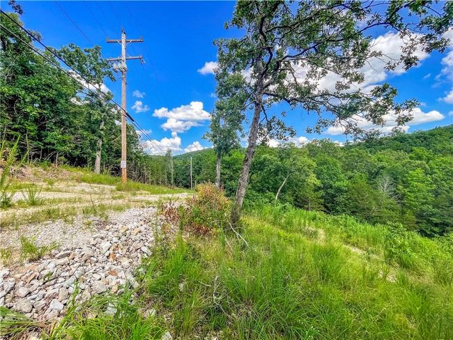 View of woods | Image 19