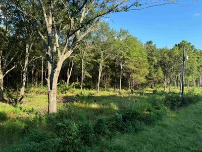 Tract 2 County Road 479, Home with 0 bedrooms, 0 bathrooms and null parking in Lindale TX | Image 3