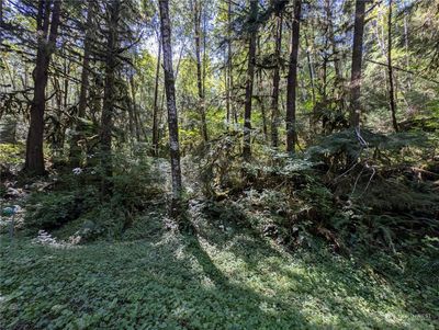 99992 Dowans Creek Road, Home with 0 bedrooms, 0 bathrooms and null parking in Forks WA | Image 2