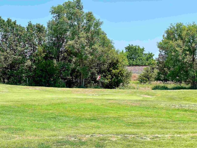 View of yard | Image 5