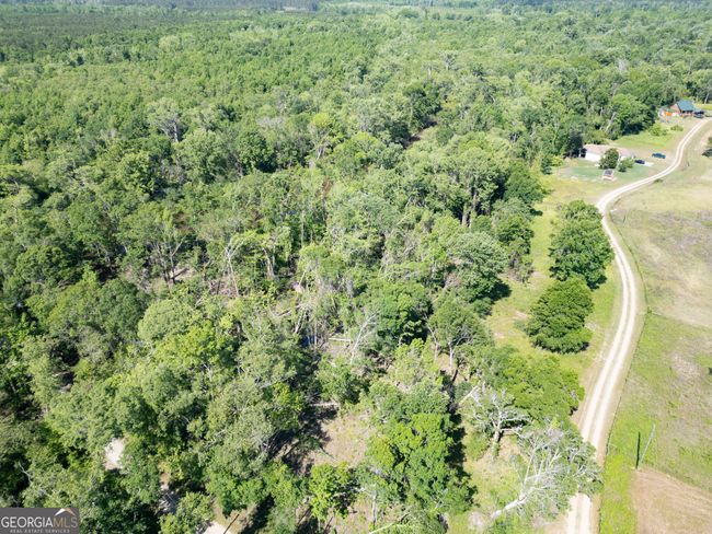 LOT 20 The River Landing, Home with 0 bedrooms, 0 bathrooms and null parking in Midville GA | Image 17