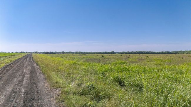 View from the dirt road | Image 4
