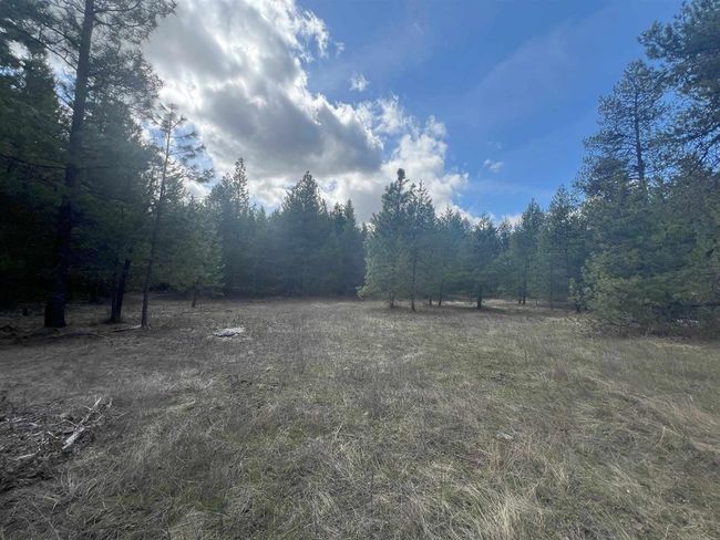 892 W Telephone Rd, Home with 0 bedrooms, 0 bathrooms and null parking in Newport WA | Image 15