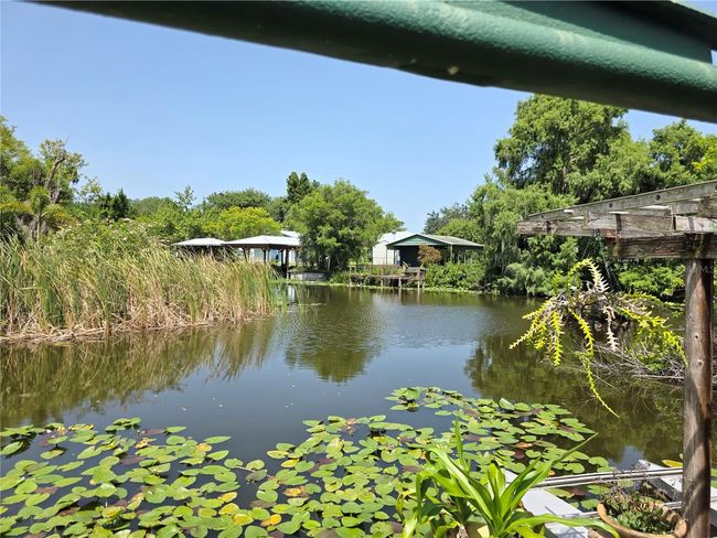 Canal | Image 41