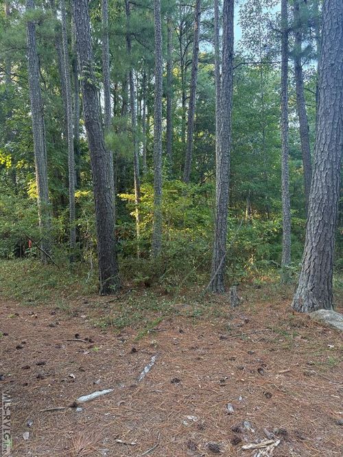 0 Cedar Hill Ln, Henrico, NC, 27842 | Card Image