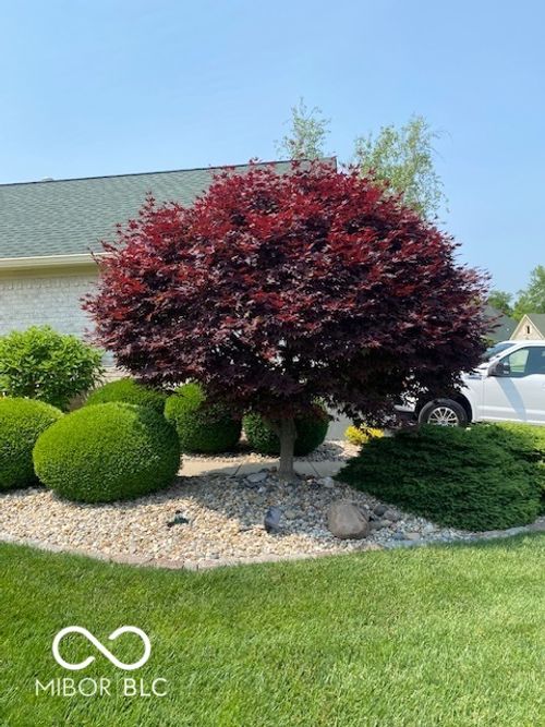 3354 Nottinghill Dr E, Plainfield, IN, 46168-8307 | Card Image